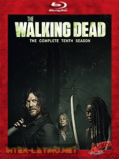 The.Walking.Dead.Temp.10.Completa.2019.BD25.Latino